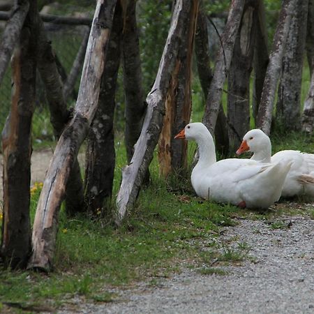 Albergo Lago Verde ペンナビッリ エクステリア 写真