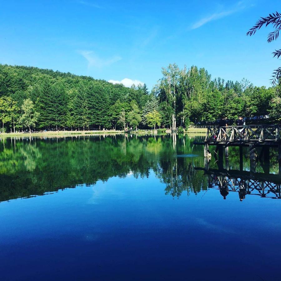 Albergo Lago Verde ペンナビッリ エクステリア 写真