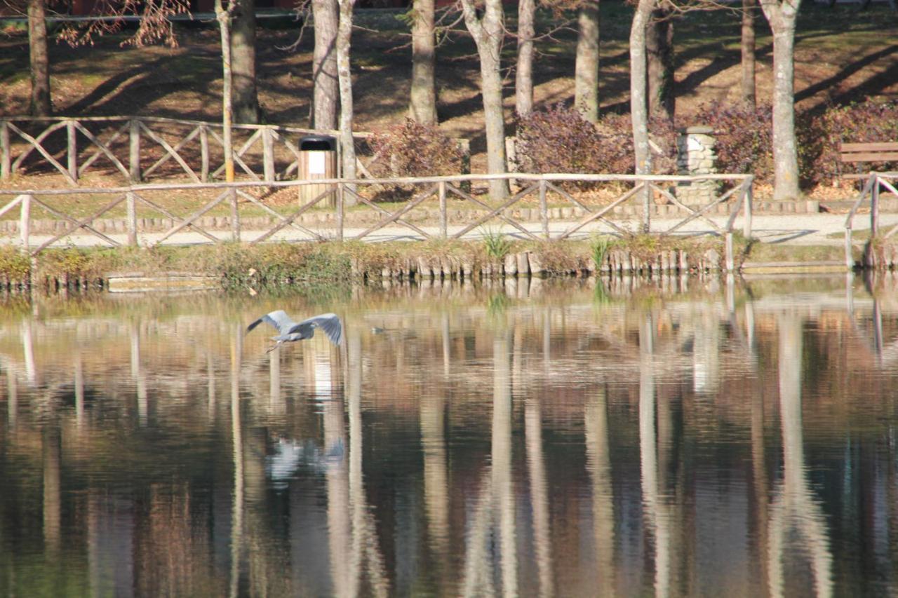 Albergo Lago Verde ペンナビッリ エクステリア 写真